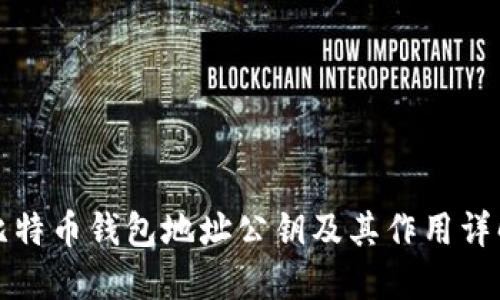 比特币钱包地址公钥及其作用详解