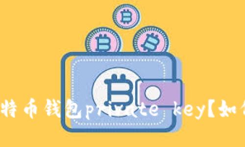 什么是比特币钱包private key？如何保护它？