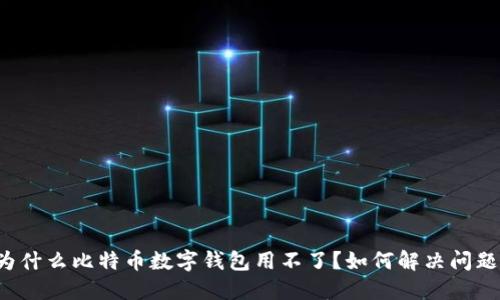 为什么比特币数字钱包用不了?如何解决问题?