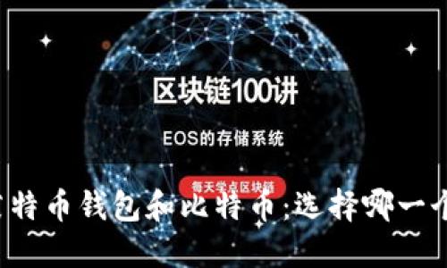 莱特币钱包和比特币:选择哪一个?