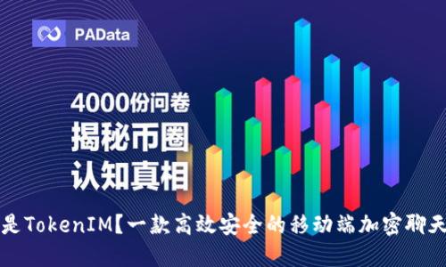 什么是TokenIM?一款高效安全的移动端加密聊天应用