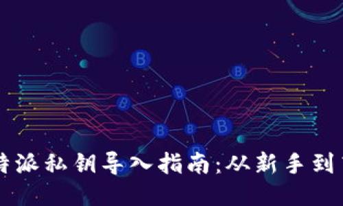比特派私钥导入指南：从新手到高手