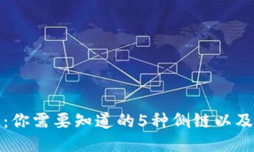 探究以太坊侧链:你需要知道的5种侧链以及它们的运作方式