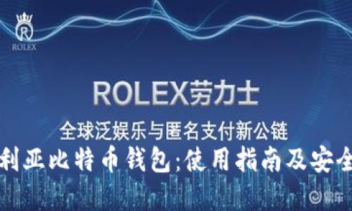 尼日利亚比特币钱包：使用指南及安全建议