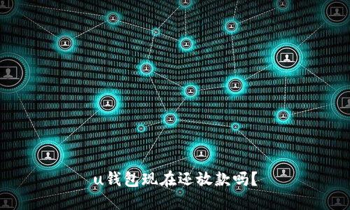 u钱包现在还放款吗?