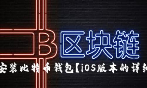 如何安装比特币钱包?iOS版本的详细指南