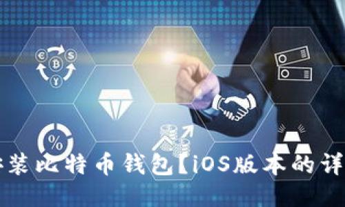 如何安装比特币钱包?iOS版本的详细指南