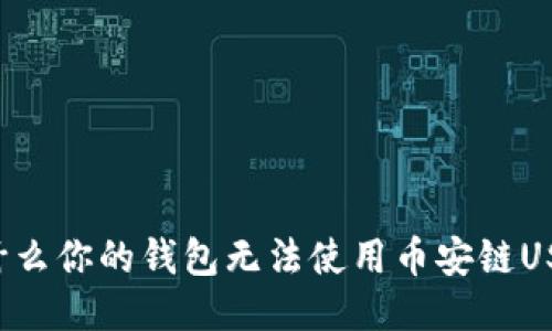 为什么你的钱包无法使用币安链USDT?