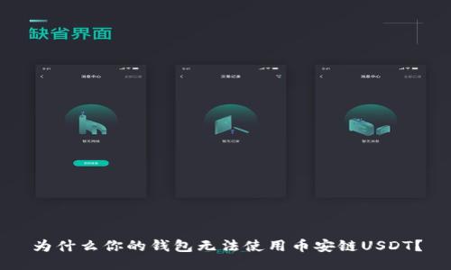 为什么你的钱包无法使用币安链USDT?