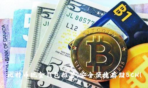 比特币现金钱包推荐,安全便捷存储BCH!