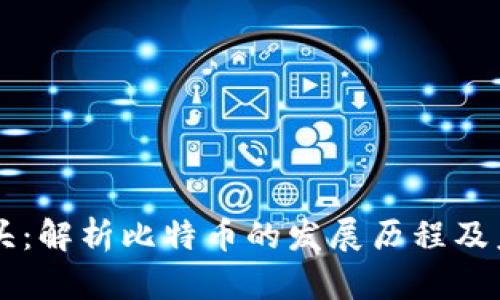 币圈龙头：解析比特币的发展历程及未来趋势