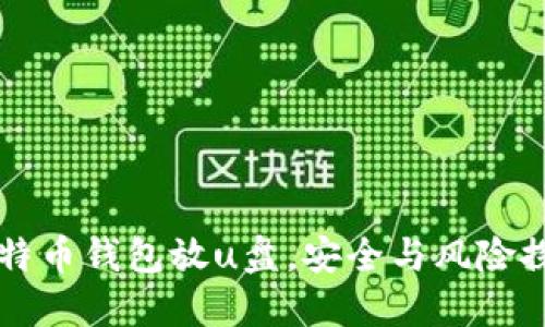 比特币钱包放u盘,安全与风险探究