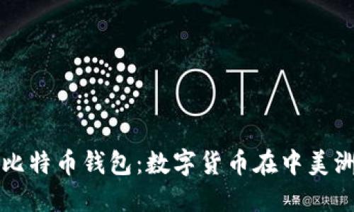 萨尔瓦多的比特币钱包:数字货币在中美洲的应用之路