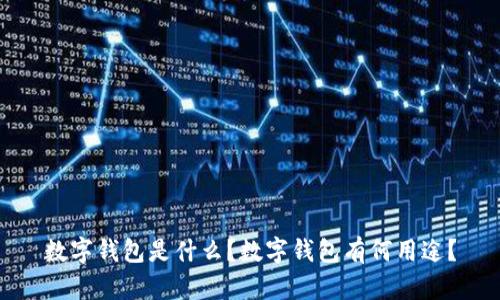 数字钱包是什么?数字钱包有何用途?