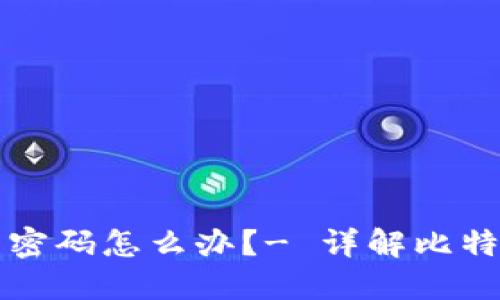 忘记比特币钱包密码怎么办?- 详解比特币密码找回方法