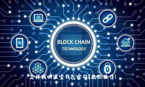 怎样找回波宝钱包密码?教你操作!