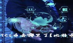 中本聪挖的BTCs币去哪里了