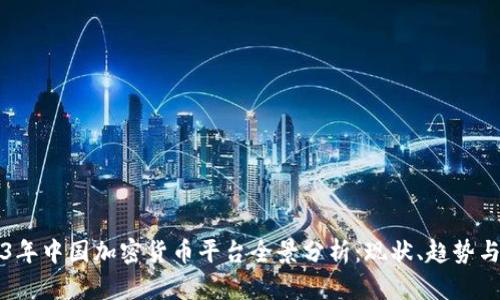 2023年中国加密货币平台全景分析：现状、趋势与未来
