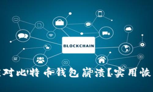 如何应对比特币钱包崩溃？实用恢复攻略