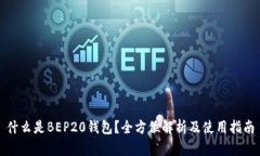 什么是BEP20钱包？全方位解