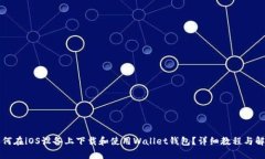 如何在iOS设备上下载和使