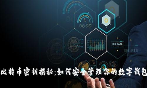 比特币密钥揭秘：如何安全管理你的数字钱包