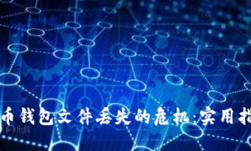 如何应对比特币钱包文件丢失的危机：实用指南与解决方案