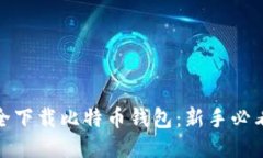 如何安全下载比特币钱包