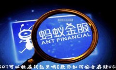 USDT可以放在钱包里吗？教