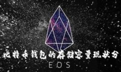 : 比特币钱包的存储容量现