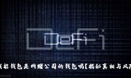 钱能钱包是网赌公司的钱包吗？揭秘真相与风险