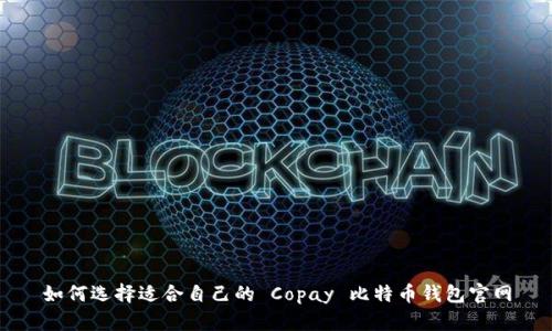 如何选择适合自己的 Copay 比特币钱包官网