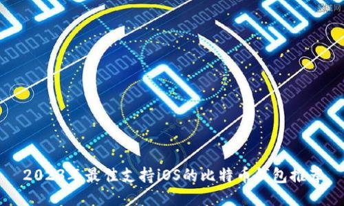 2023年最佳支持iOS的比特币钱包推荐