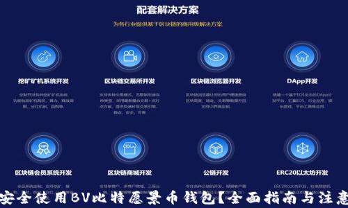 
如何安全使用BV比特愿景币钱包？全面指南与注意事项