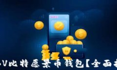 如何安全使用BV比特愿景币