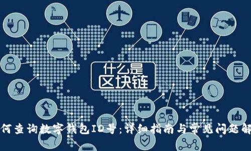如何查询数字钱包ID号：详细指南与常见问题解答