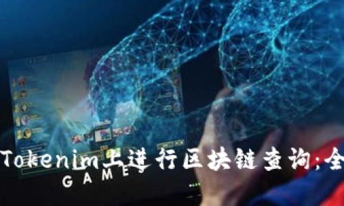 如何在Tokenim上进行区块链查询：全面指南