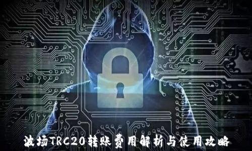
波场TRC20转账费用解析与使用攻略