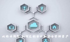 比特币钱包：如何支持分