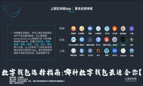 数字钱包选择指南：哪种数字钱包最适合你？