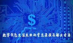 数字钱包充值失败的常见