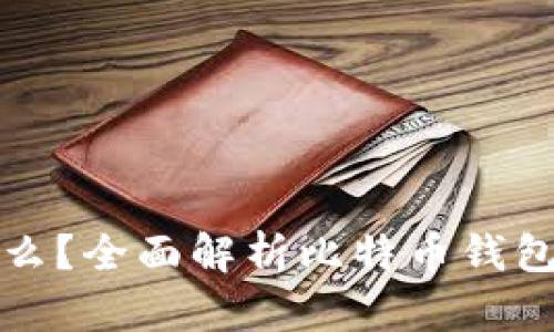 比特币钱包记录了什么？全面解析比特币钱包的数据内容与安全性