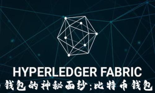 
揭开比特币钱包的神秘面纱：比特币钱包功能全解析