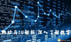比特币钱包地址与ID解析：