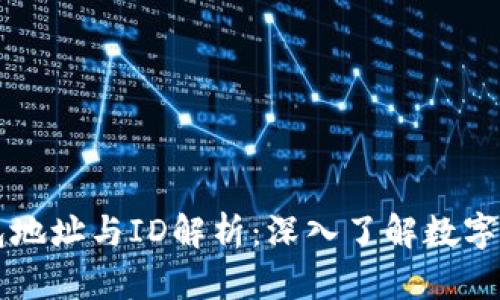 比特币钱包地址与ID解析：深入了解数字货币的本质