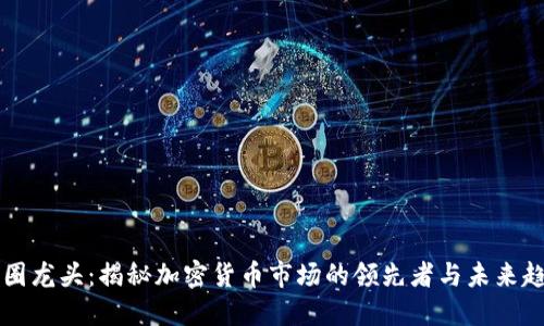 币圈龙头：揭秘加密货币市场的领先者与未来趋势
