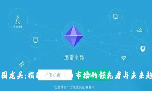 币圈龙头：揭秘加密货币市场的领先者与未来趋势