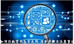 如何往数字钱包里充钱：