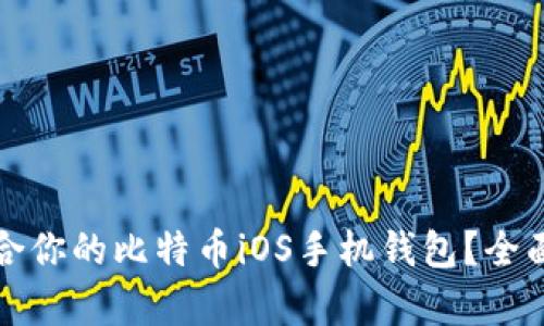 如何选择适合你的比特币iOS手机钱包？全面解析与推荐
