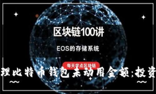 如何安全管理比特币钱包未动用金额：投资者必读指南